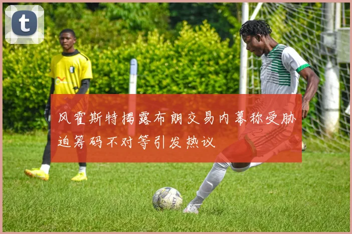 风霍斯特揭露布朗交易内幕称受胁迫筹码不对等引发热议